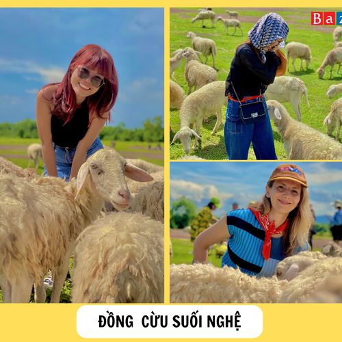 Tour Vũng Tàu: Trại Cừu - Vịnh Marina - Tắm biển
