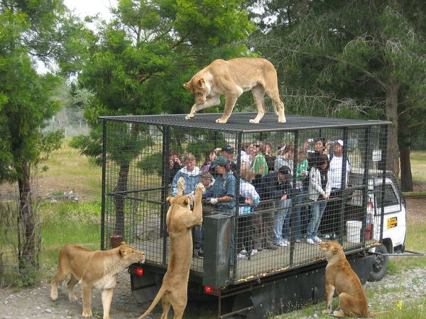 safari-world-tour-du-lich-thai-lan