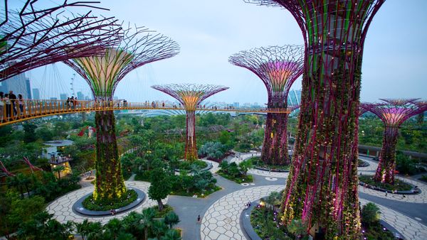 garden-by-the-bay