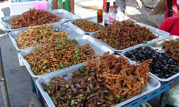 cho-con-trung-tour-campuchia-4-ngay-3-dem-bazan-travel