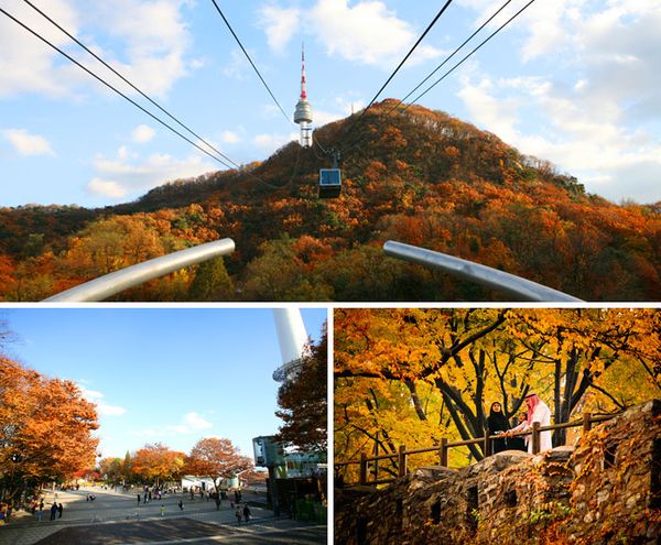 tour-du-lich-han-quoc-seoul-everland-nami-4-ngay-4-dem11