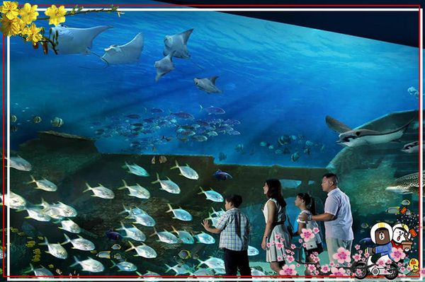 tour-du-lich-malaysia-singapore-tet-indonesia-malaysia-tet-nguyen-dan-6n5d-7