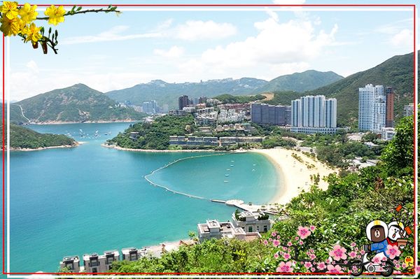 vinh-nuoc-can-hong-kong