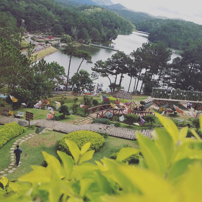 doi-mong-mo-2