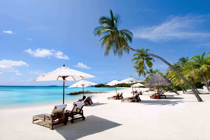 bo-bien-bai-dai-nha-trang