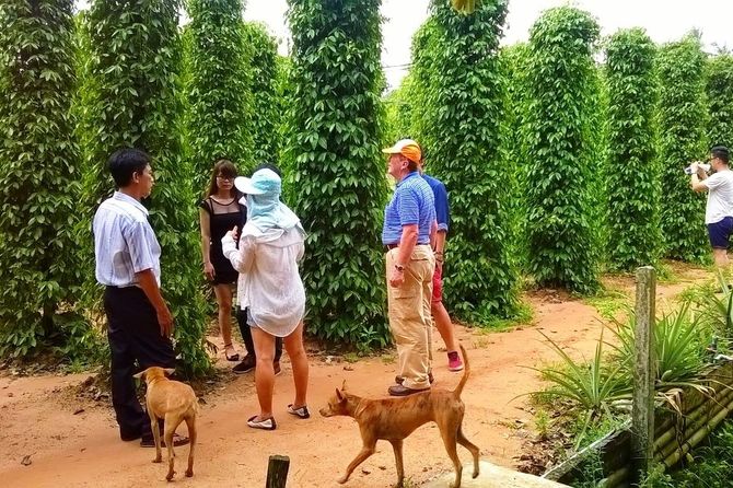 tour-du-lich-phu-quoc-tet-nguyen-dan-3n3d3