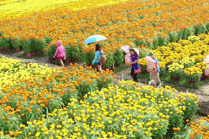 tour-du-lich-lang-hoa-sa-dec-don-xuan-2-ngay-1-dem6