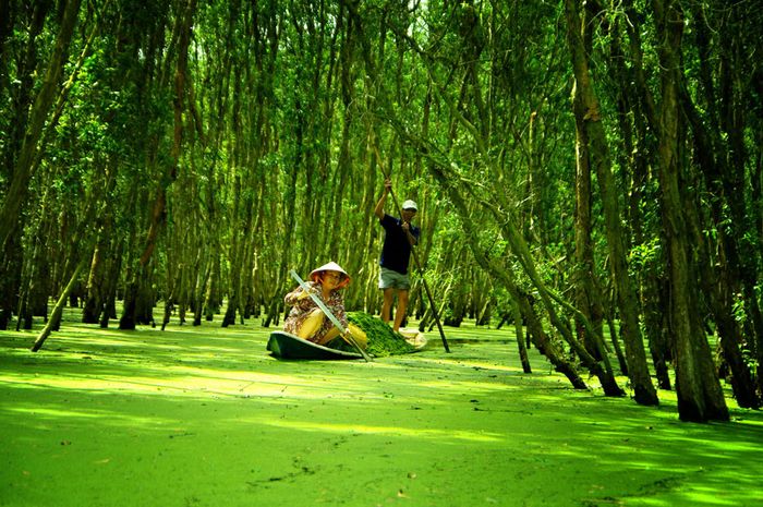 du-lich-mien-tay-chau-doc-rung-tram-tra-su