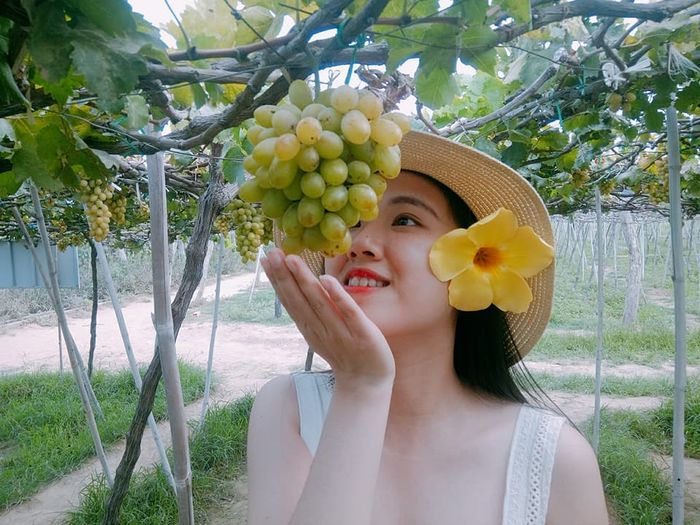 vuon-nho-nha-trang