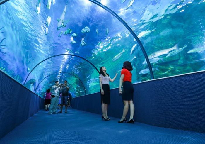 hai-duong-hoc-nha-trang