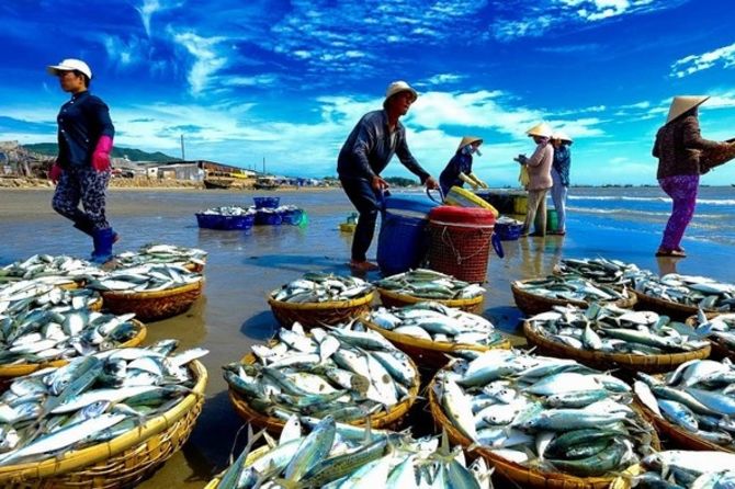 lang-chai-ham-ninh