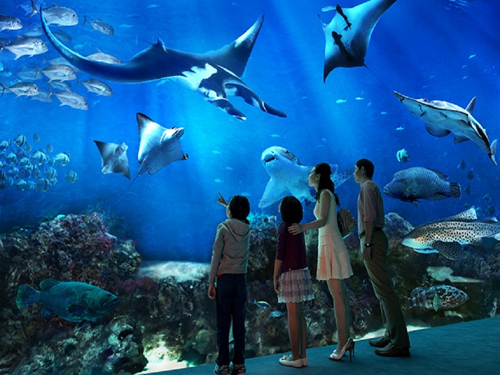 s-e-a-aquarium