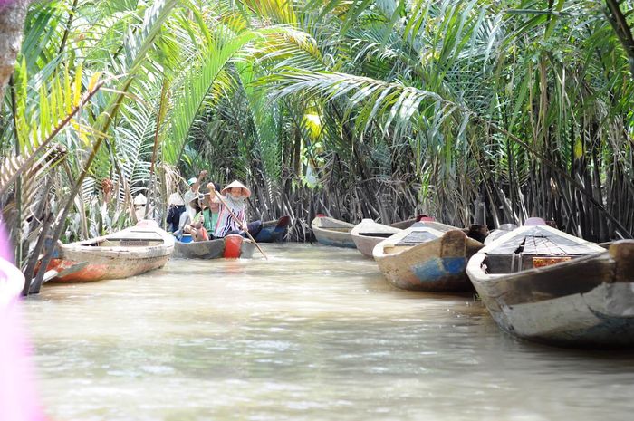 con-phung-ben-tre