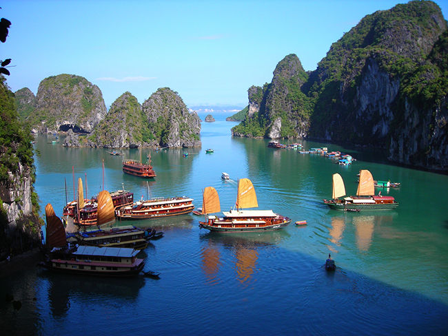 dao-dau-be-vinh-ha-long