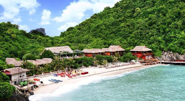 monkey-island-resort-cat-ba
