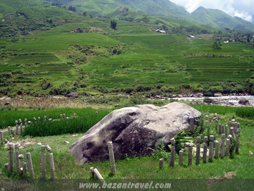 bai-da-co-sapa