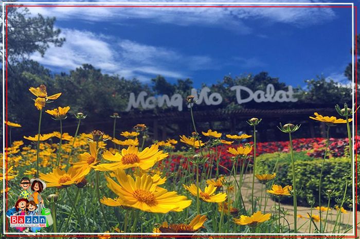doi-mong-mo-3