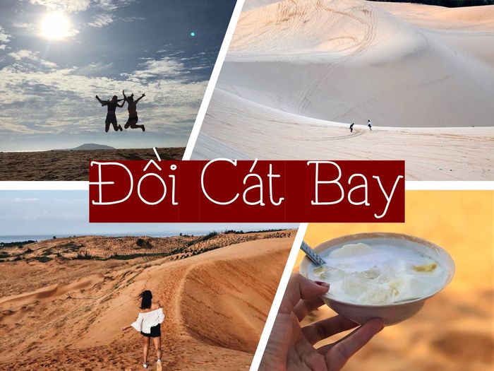 doi-cat-bay