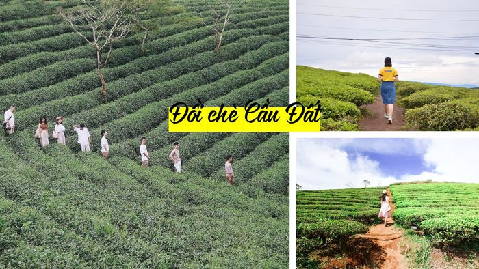 tour-du-lich-da-lat-le-2-9-3-ngay-3-dem-4