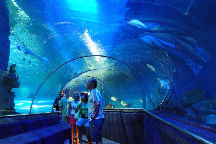 tour-nha-trang-da-alt-5-ngay-4-dem-3