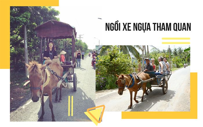 tour-du-lich-can-tho-2-ngay-1-dem-4
