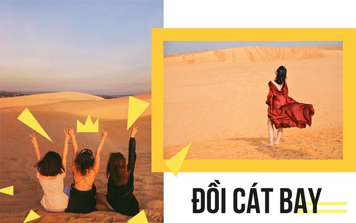 doi-cat-bay