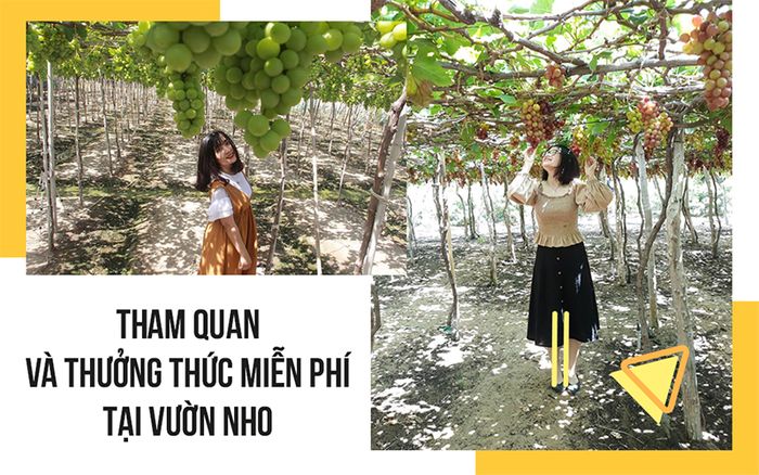 vuon-nho