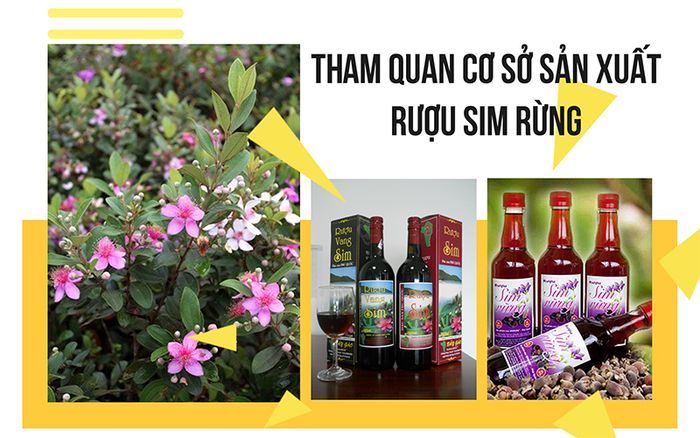 tour-phu-quoc-don-tai-san-bay-3-ngay-2-dem-co-so-san-xuat-rou-sim