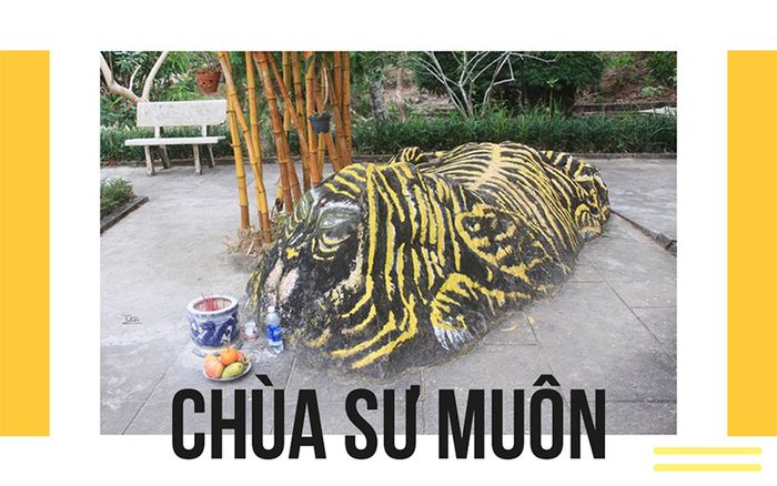 tour-phu-quoc-don-tai-san-bay-3-ngay-2-dem-chua-su-muon