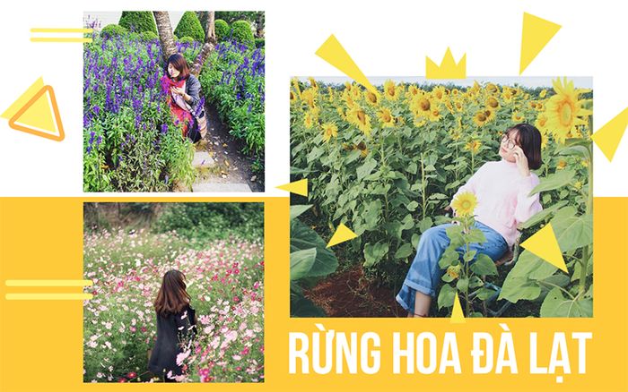 tour-du-lich-da-lat-tet-tay-rung-hoa-da-lat