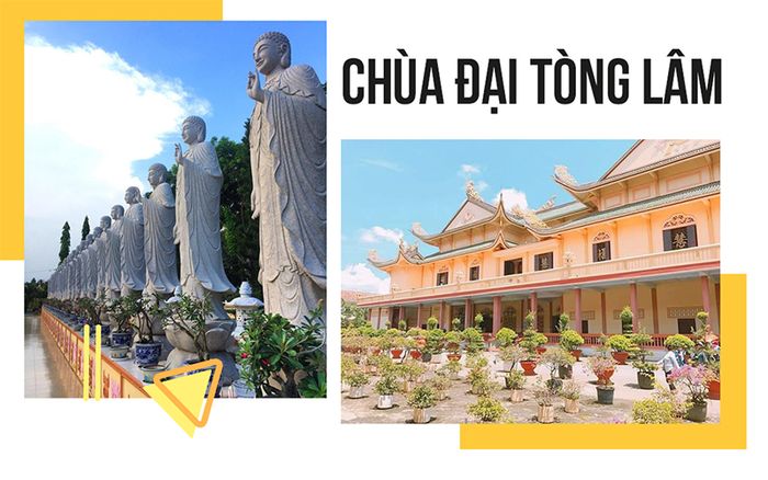 tour-du-lich-long-hai-2-ngay-1-dem-danh-cho-khach-doan-3