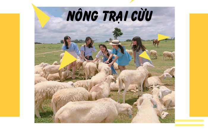 tour-team-buliding-phan-thiet-lagi