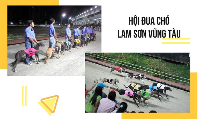 tour-vung-tau-khach-doan-7