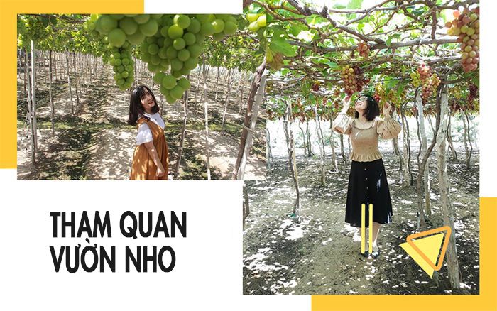 tour-ninh-chu-vinh-hy-khach-doan-2