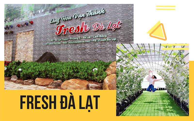 du-lich-ninh-chu-da-lat12