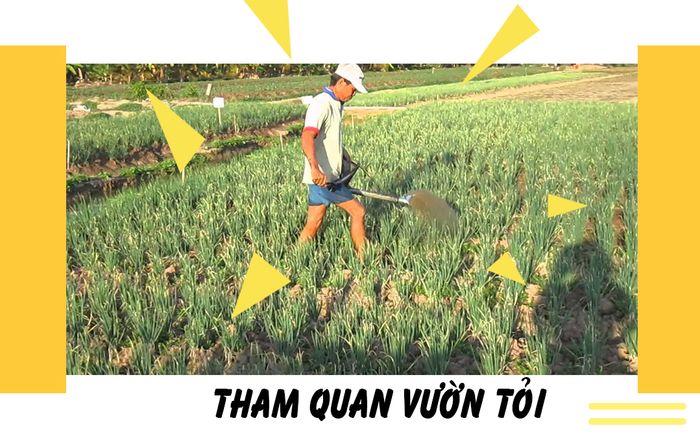 vuon-toi
