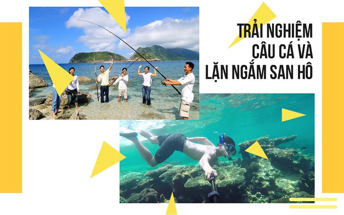 tour-du-lich-dao-ly-son-danh-cho-khach-doan-3n2d-may-bay24