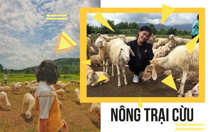 tour-du-lich-vung-tau-tet-nguyen-dan-2