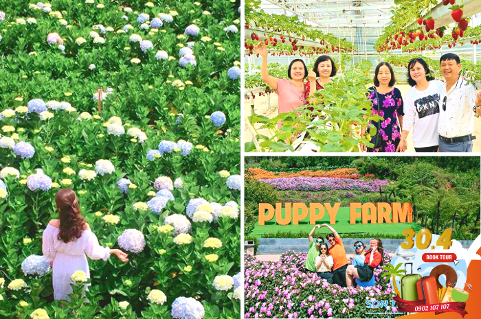 puppy-farm-du-lich-dalat-le-30-4