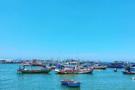 Tour Bình Châu – Hồ Cốc
