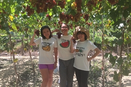 Tour Sài Gòn Đi Vịnh Vĩnh Hy - Vườn Nho - Tháp Poklong Giarai