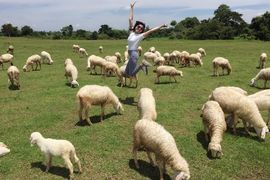 Tour Thanh Hóa Đi Vũng Tàu