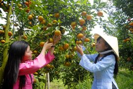 Tour du lịch Quảng Trị đi Cần Thơ