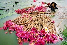 Tour Du Lịch Bắc Kạn Đi Miền Tây