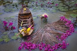 Tour Du Lịch Bắc Giang Đi Miền Tây
