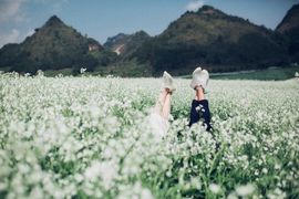 Tour Tây Bắc: Mộc Châu - Điện Biên - Lai Châu - Sapa Bao Gồm Vé Máy Bay