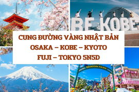 Tour Nhật Bản: Tokyo - Fuji - Yamanashi 5N4Đ