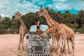Tour Thái Lan 5N4D: Bangkok - Pattaya - Safari World