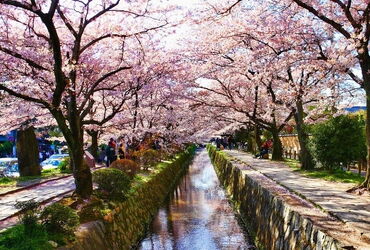 Tour Nhật Bản : OSAKA – KOBE – KYOTO – NAGOYA YAMANASHI - TOKYO