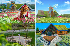 (Tour Hot) Đà Lạt - Thiên đường 4 mùa hoa